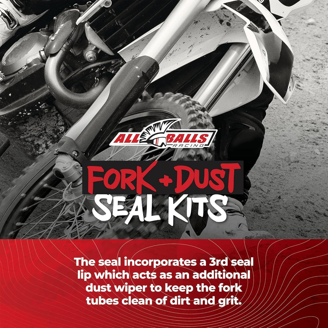 All Balls Racing Gabel- und Staubdichtungsset 56-170, kompatibel mit: Honda CB 250 Nighthawk 1991-20