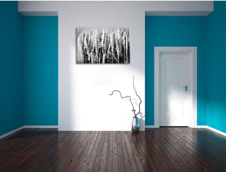 Pixxprint Weizen auf dem Feld / 100x70cm Leinwandbild bespannt auf Holzrahmen/Wandbild Kunstdruck De