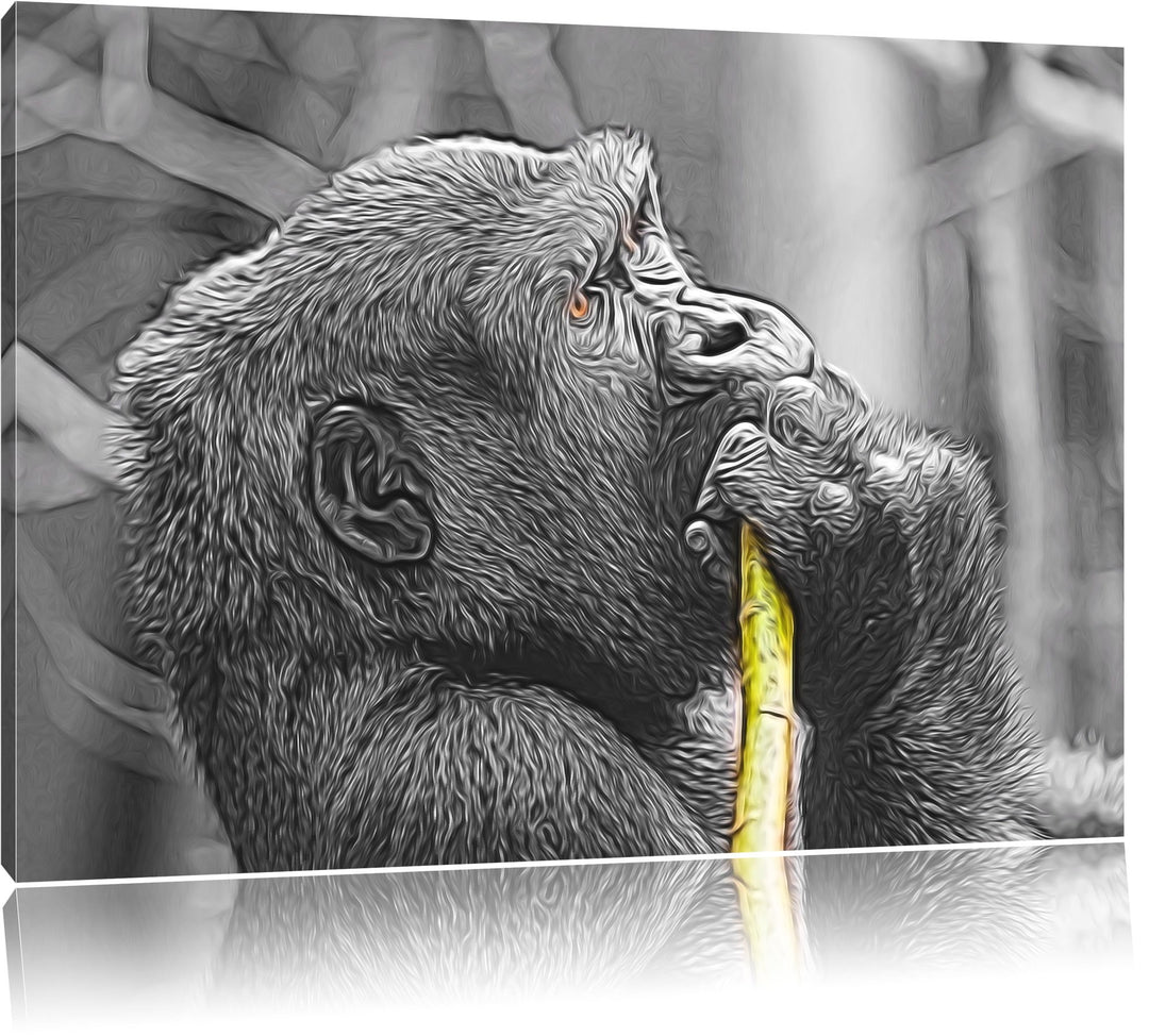 stolzer Gorilla isst schwarz/weiss Deluxe Format: 100x70 cm auf Leinwand, XXL riesige Bilder fertig