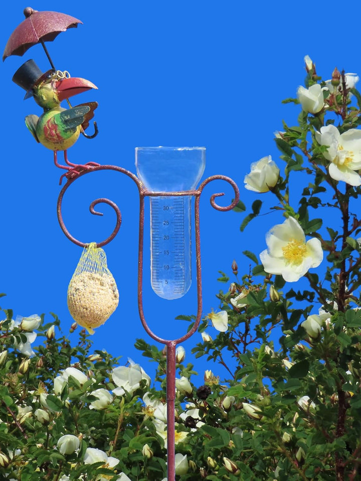 Pommerntraum ®| Regenmesser Niederschlagsmesser Gartendeko Gartenkunst Rabe | Pluviometer Ombrometer