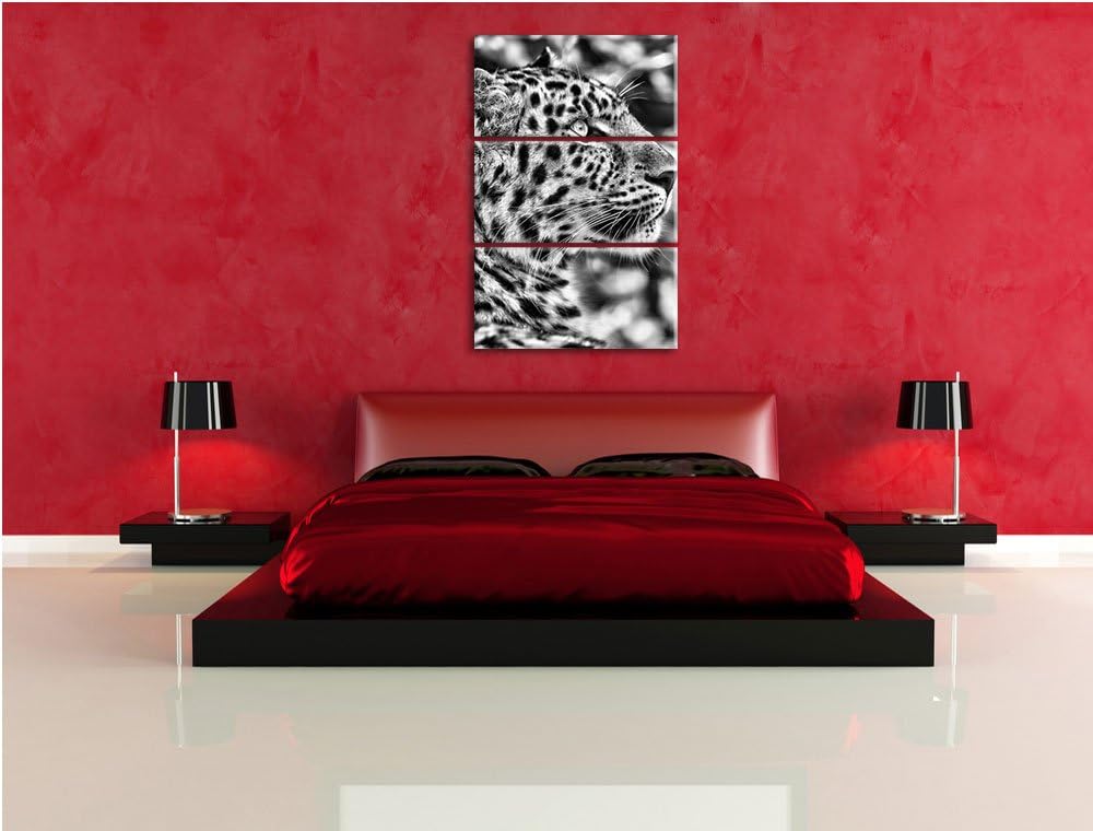 Pixxprint prächtiger Leopard im Schatten als Leinwandbild/Grösse: 3 Teilig (120x80) cm/Wandbild/Kuns