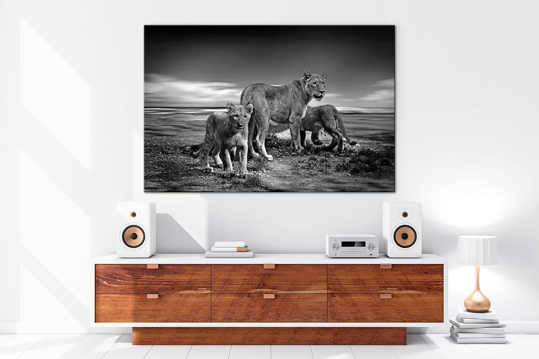 deyoli zauberhafte Löwenfamilie Format: 60x40 Effekt: Schwarz&Weiss als Leinwandbild, Motiv fertig g
