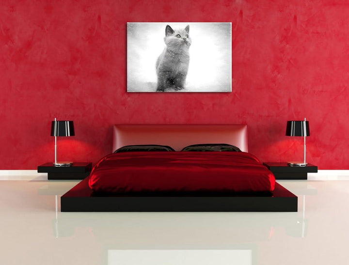 Pixxprint Niedliches Katzenbaby auf Teppich als Leinwandbild/Grösse: 100x70 cm/Wandbild/Kunstdruck/f