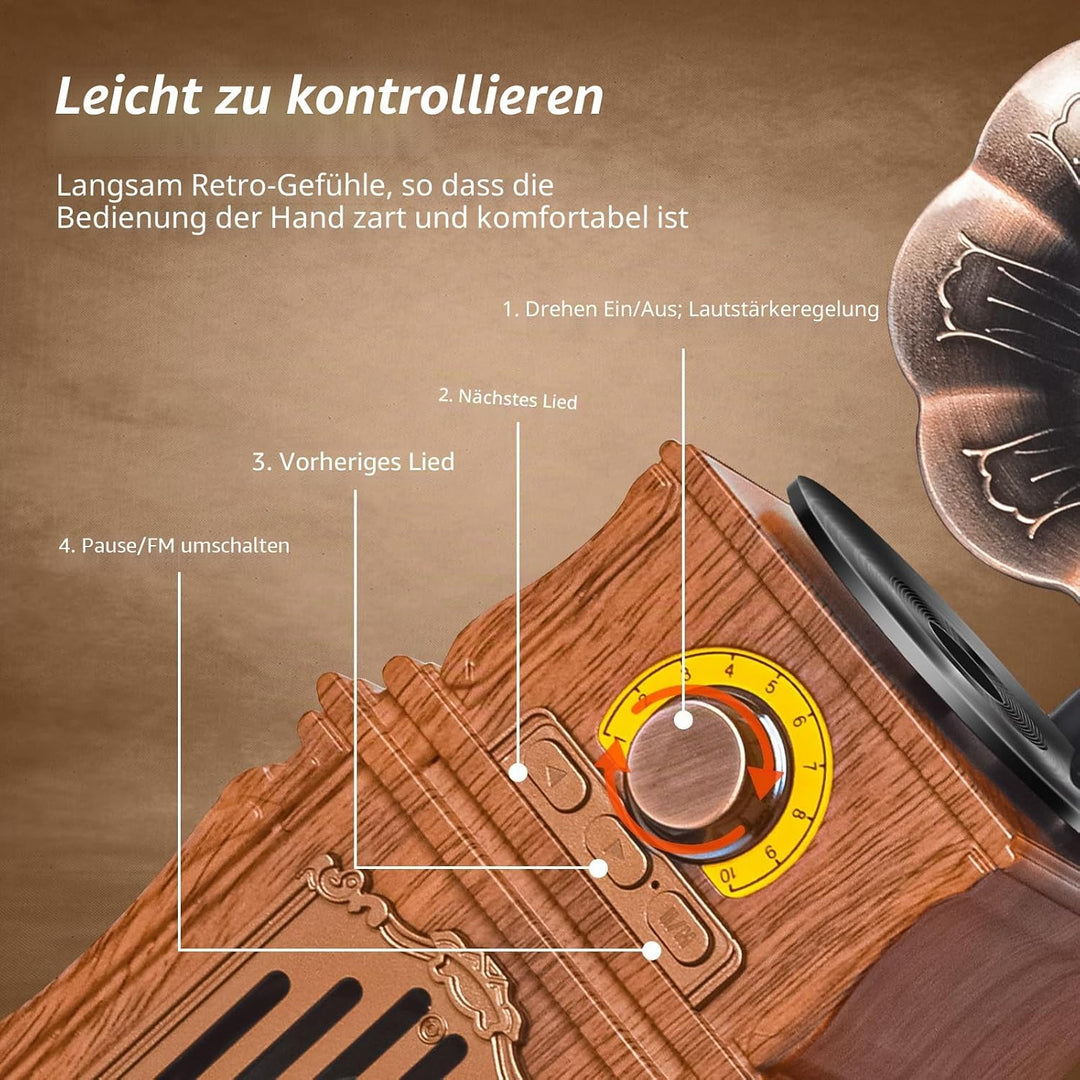 COLSUR Retro Radio Bluetooth 5.3 Lautsprecher Tragbarer Vintage Lautsprecher mit AM FM Radio Wiedera