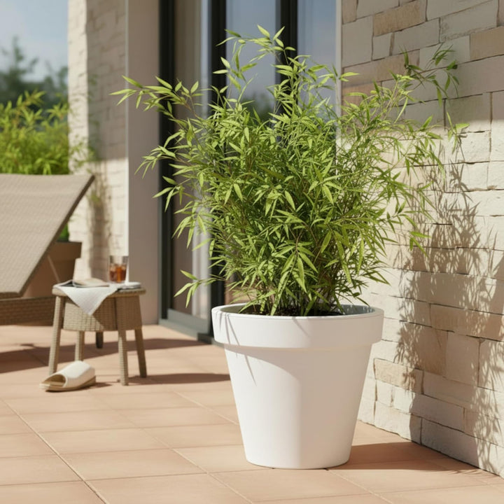 Spetebo Kunststoff Pflanzkübel L rund Ø 48 cm - weiss - Blumenkübel gross für Aussen und Innen - Gar