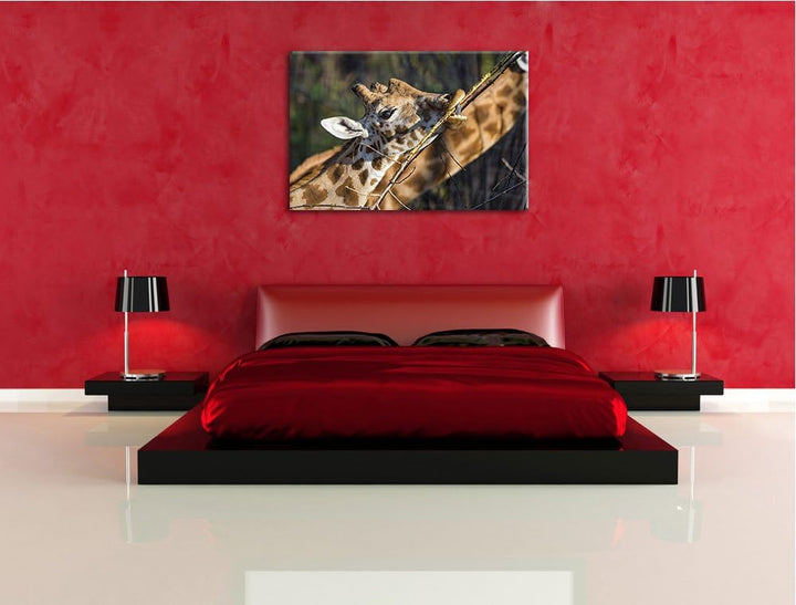 Pixxprint fressende Giraffe auf Leinwand, XXL riesige Bilder fertig gerahmt mit Keilrahmen, Kunstdru