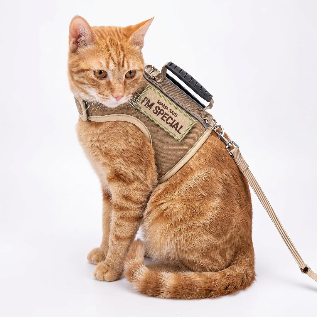 Taktisches Katzengeschirr und Leine zum Spazierengehen, ausbruchsicher, verstellbare Katzen-Spazierg