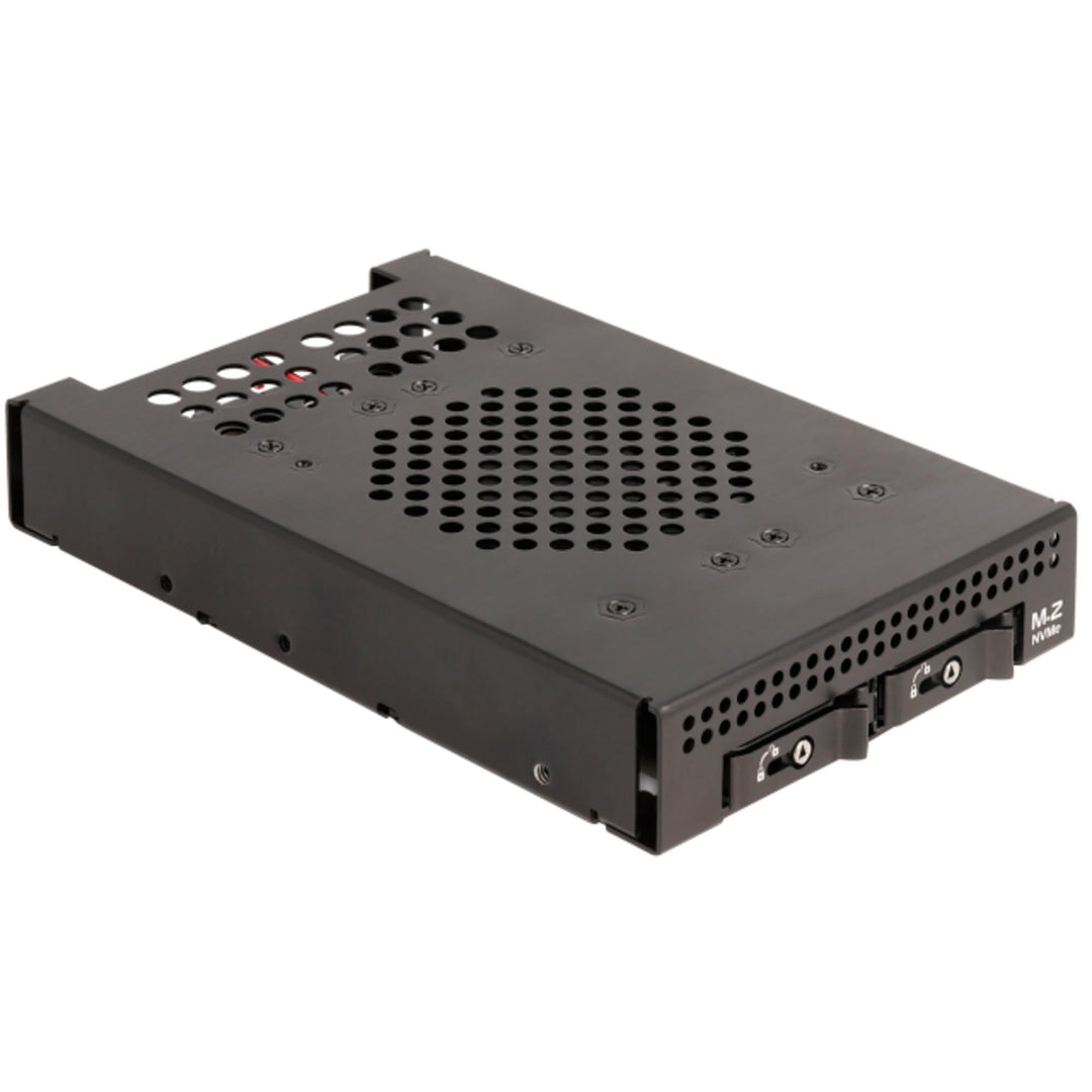 DeLOCK Einbaurahmen 3.5″ Wechselrahmen für 2 x M.2 NVMe SSD