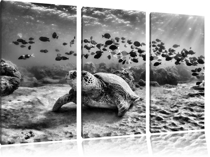 Pixxprint Ninja Turtles / 3-Teilig/Gesamtmass 120cm Leinwandbild bespannt auf Holzrahmen/Wandbild Ku