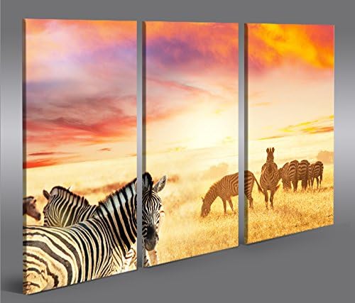 islandburner Bild Bilder auf Leinwand Zebras V3 Zebra Steppe Afrika 3p XXL Poster Leinwandbild Wandb