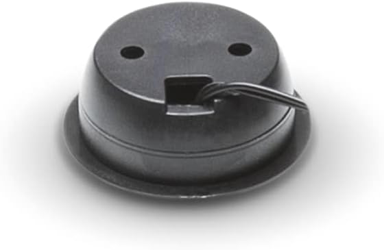 Rockford Fosgate r1t-s