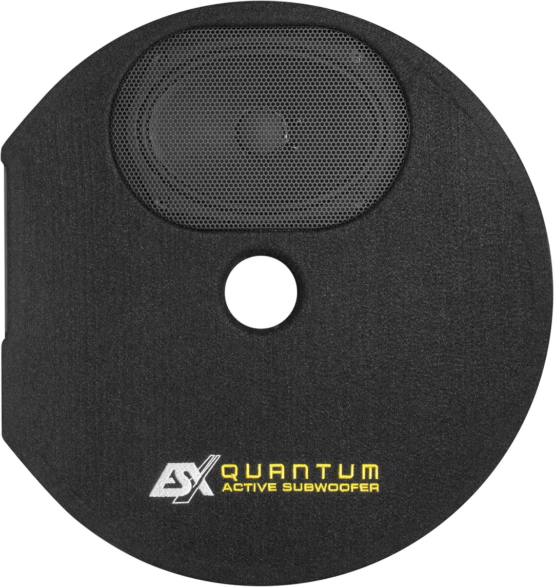 ESX Q300Av2 - Quantum Reserverad-Mulden Aktiv-Subwoofer System 300 W Class-D mit Basspegel-Fernbedie