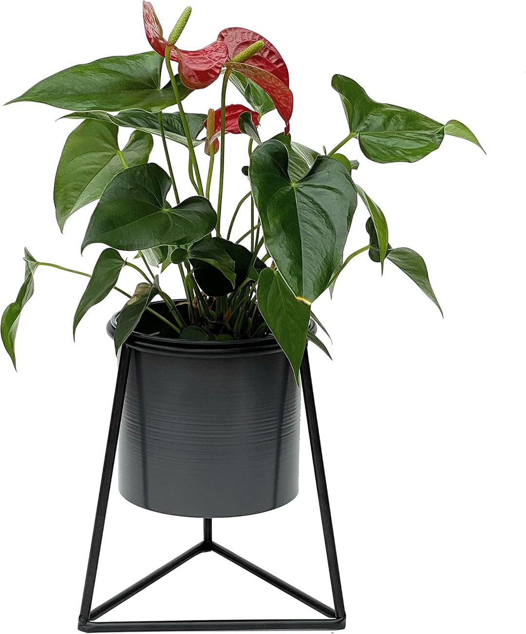 DanDiBo Blumenhocker mit Topf Metall Schwarz S 25 cm Blumenständer 96052 Blumensäule Modern Pflanzen
