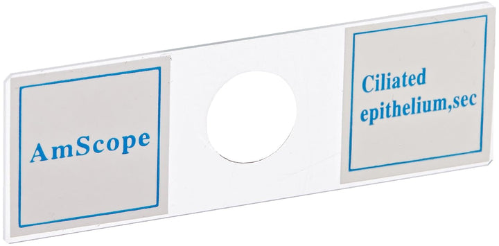 AmScope PS100A Vorbereitetes Objektträger-Set für die Daturwissenschaftliche Grundausbildung, 100 Ob