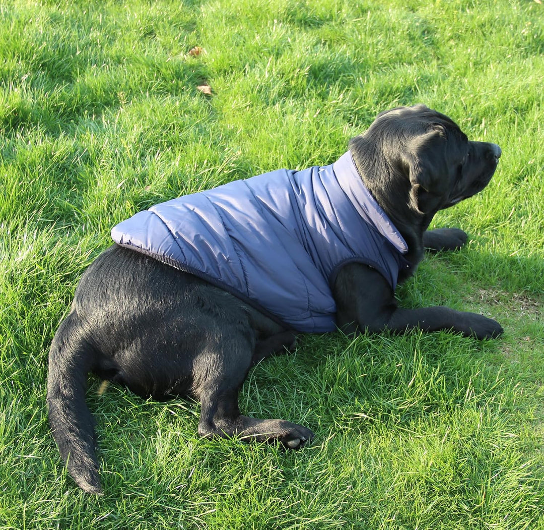Mit Fleece gefütterte Hundejacke mit 2 Schichten von JoyDaog, sehr warm für den Winter und kaltes We