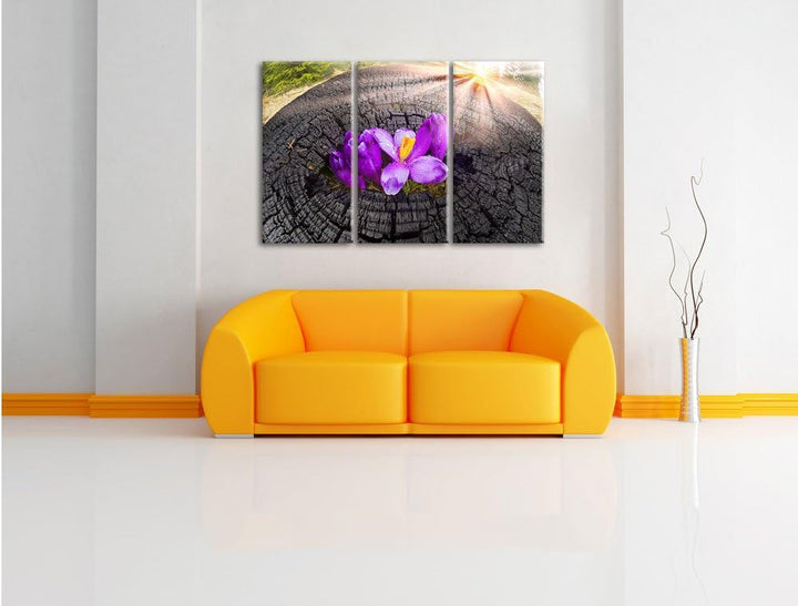 Pixxprint Die Kraft der Natur als Leinwandbild - Grösse: 3-Teilig (120x80cm) - Wandbild - Kunstdruck