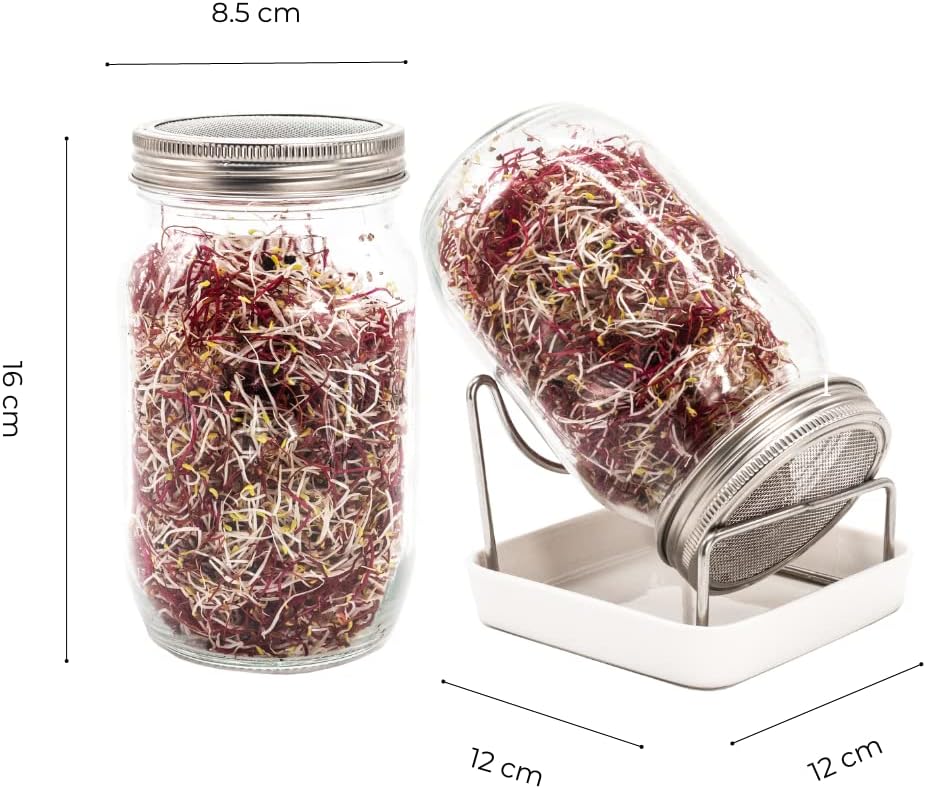 Sprossenglas mit rostfreiem Edelstahlgitter | 12,5 x 12,5 x 16cm | 2X 1000 ml | Keimglas zum Sprosse