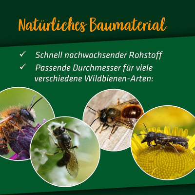 GARDIGO® Bambusröhrchen Premium für Insektenhotel - 150 Stück | Premium Bambus Niströhren für Wildbi