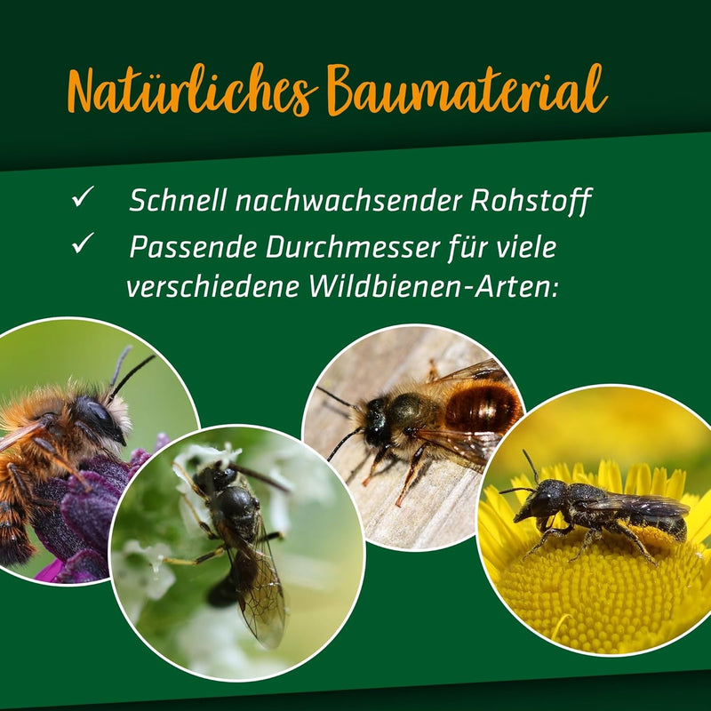 GARDIGO® Bambusröhrchen Premium für Insektenhotel - 150 Stück | Premium Bambus Niströhren für Wildbi