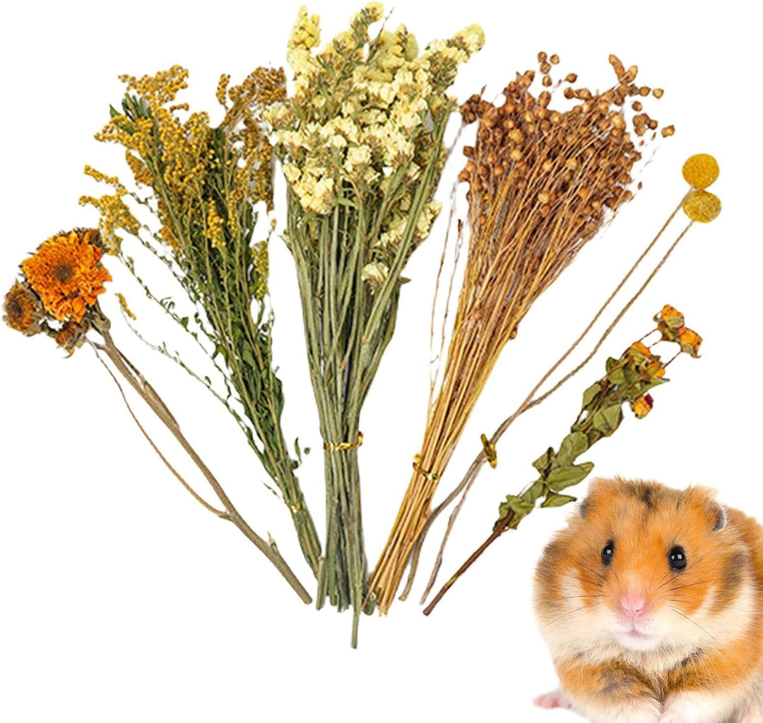 Hamster-Bettwäsche, NatürlicheBlume &amp; Kräuter Hamster Bettwäsche LebensraumDekor Getreide Meerschwei