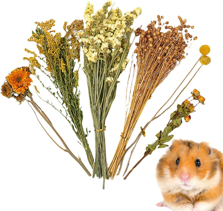 Hamster-Bettwäsche, NatürlicheBlume &amp; Kräuter Hamster Bettwäsche LebensraumDekor Getreide Meerschwei