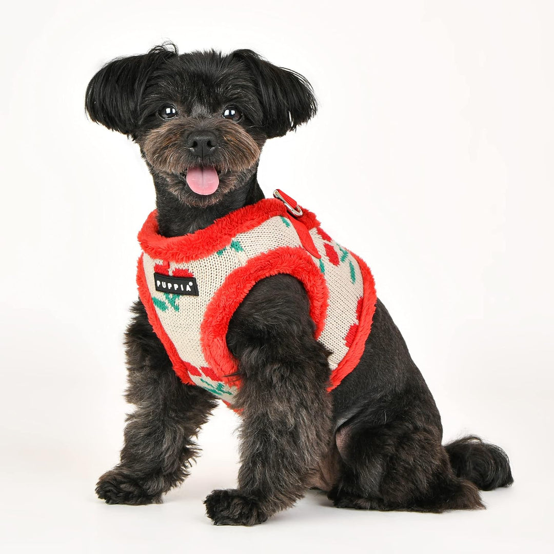 Puppia Brustgeschirr für kleine und mittelgrosse Hunde - Cheryl Harness B - verstellbar und komforta