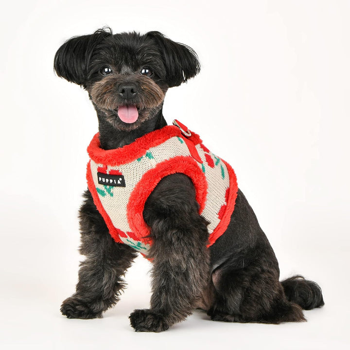 Puppia Brustgeschirr für kleine und mittelgrosse Hunde - Cheryl Harness B - verstellbar und komforta