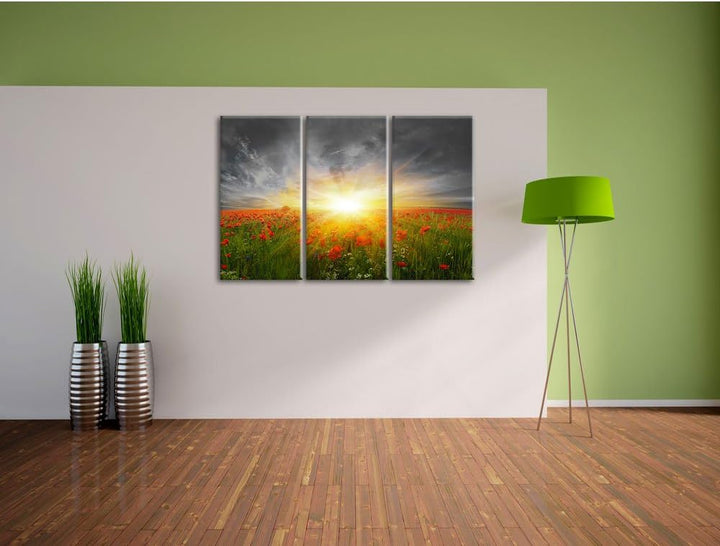 Pixxprint Mohnwiese in der Sonne als Leinwandbild/Grösse: 3 Teilig (120x80) cm/Wandbild/Kunstdruck/f