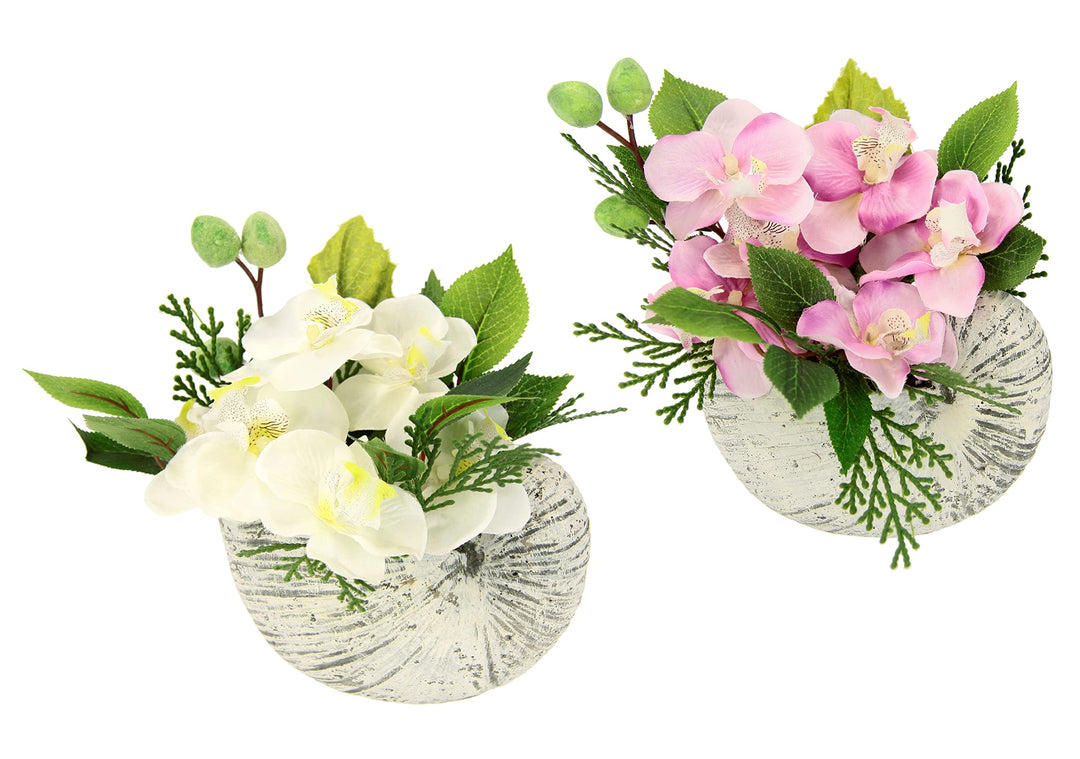 Flair Flower Künstliche Orchidee in Muschel Schale Künstliche Blume Phalaenopsis Kunstorchidee Rispe
