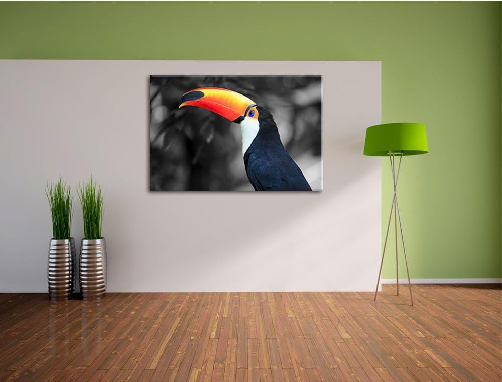 prächtiger Tukan schwarz/weiss Format: 100x70 auf Leinwand, XXL riesige Bilder fertig gerahmt mit Ke
