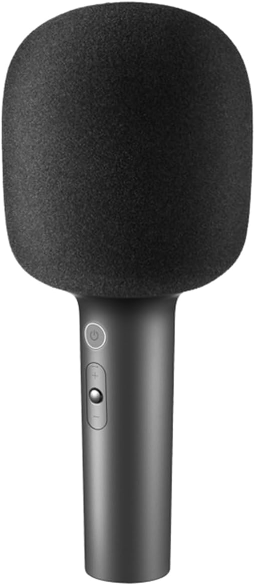Karaoke Microphone