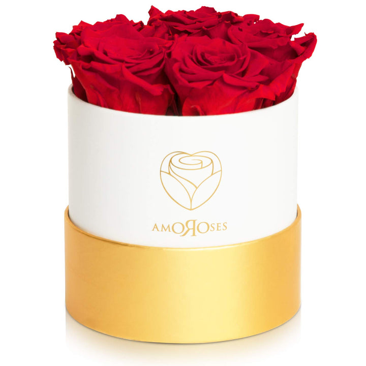 Amoroses Petite - Geschenkbox 5 ewige stabilisierte Rosen - Eleganter Strauss echter Blumen | Gesche