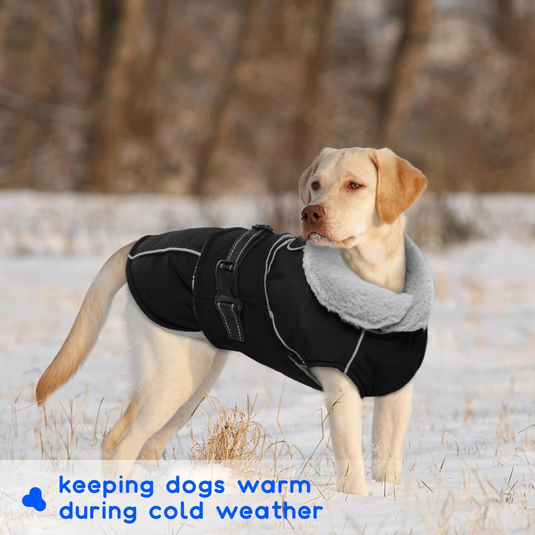 Hundejacke Mittelgrosse Hunde, Hundejacke Wasserdicht Hundemantel Fleece Hundepullover Mittelgrosse