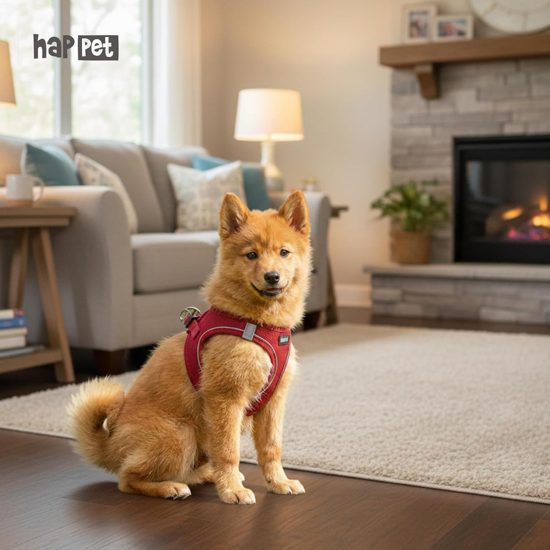Happet Hundegeschirr M für kleine & mittelgrosse Hunde – atmungsaktives Air-Mesh Brustgeschirr, gepo