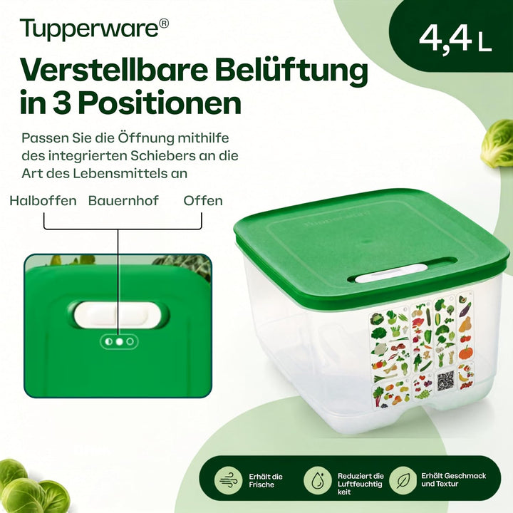 TUPPERWARE Kühlschrank 4,4L dunkelgrün KlimaOase hoch PrimaKlima A183 Klimakönig 10304