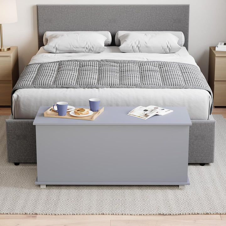 Vida Designs Leon Ottomane, Holz in Grau, 100 x 40 x 48 cm – Ottomane mit Klappdeckel, ideal für Spi