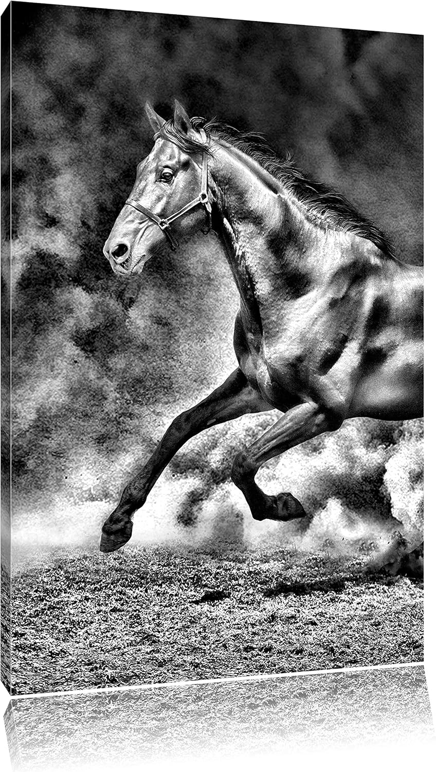 Pixxprint Dark Schwarzer Hengst als Leinwandbild/Grösse: 100x70 / Wandbild/Kunstdruck/fertig bespann