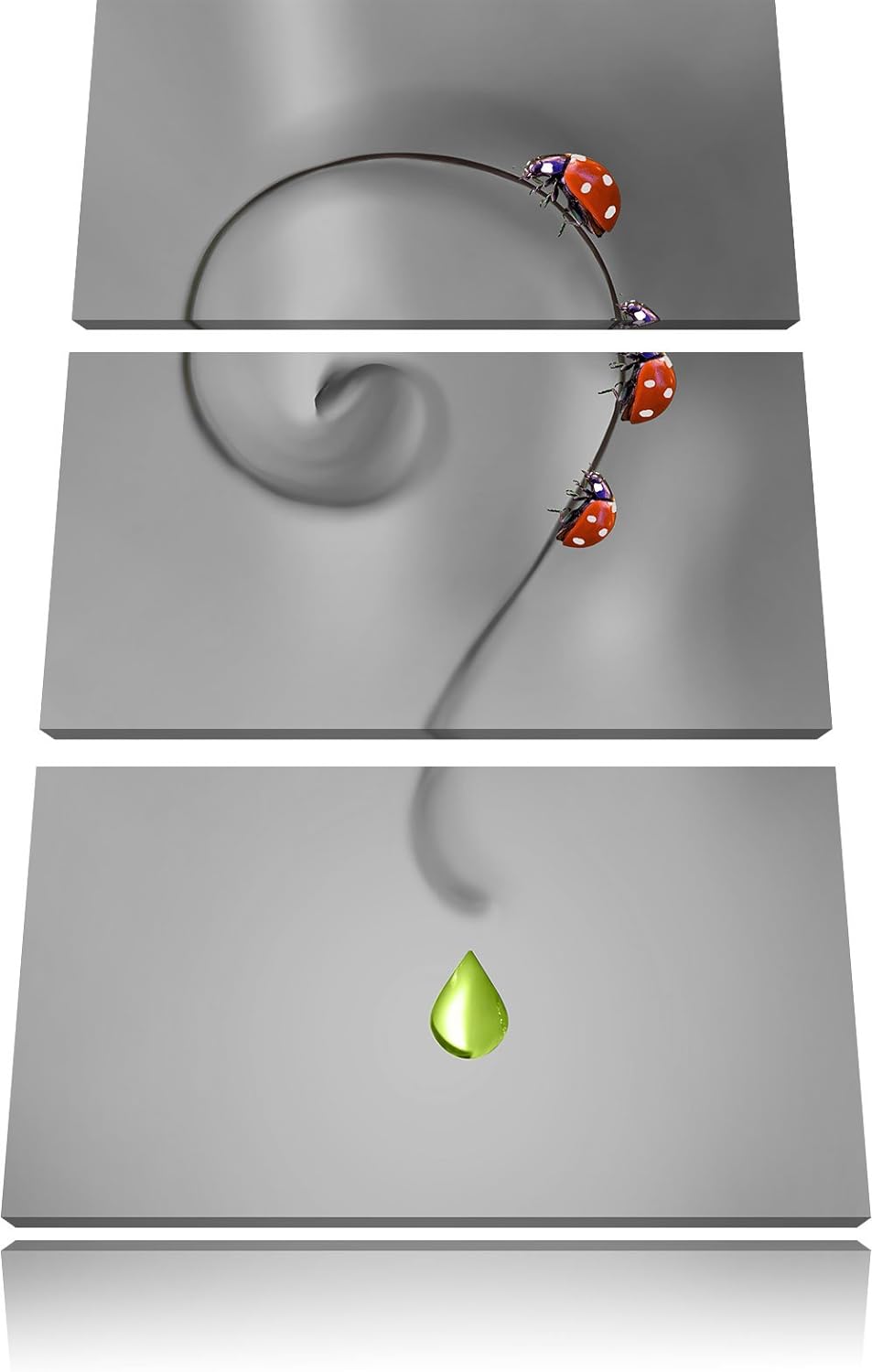 Pixxprint Marienkäfer Folgen dem Fragezeichen B&W Detail 3-Teiler Leinwandbild 120x80 Bild auf Leinw