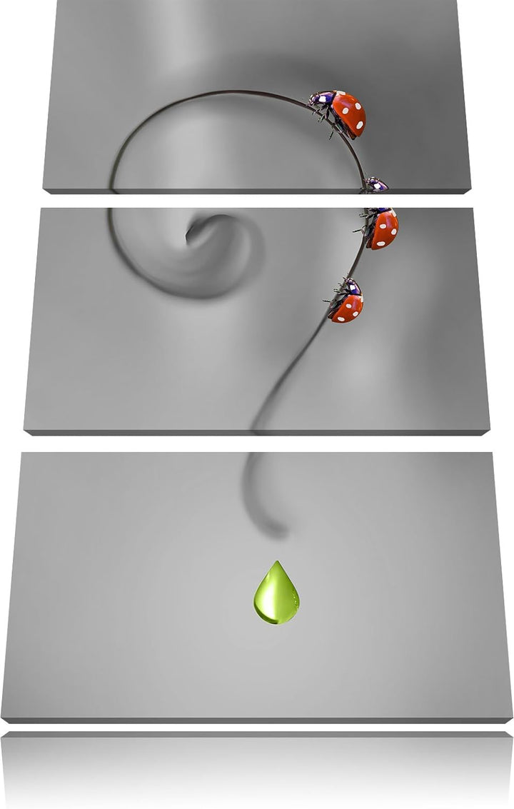 Pixxprint Marienkäfer Folgen dem Fragezeichen B&W Detail 3-Teiler Leinwandbild 120x80 Bild auf Leinw