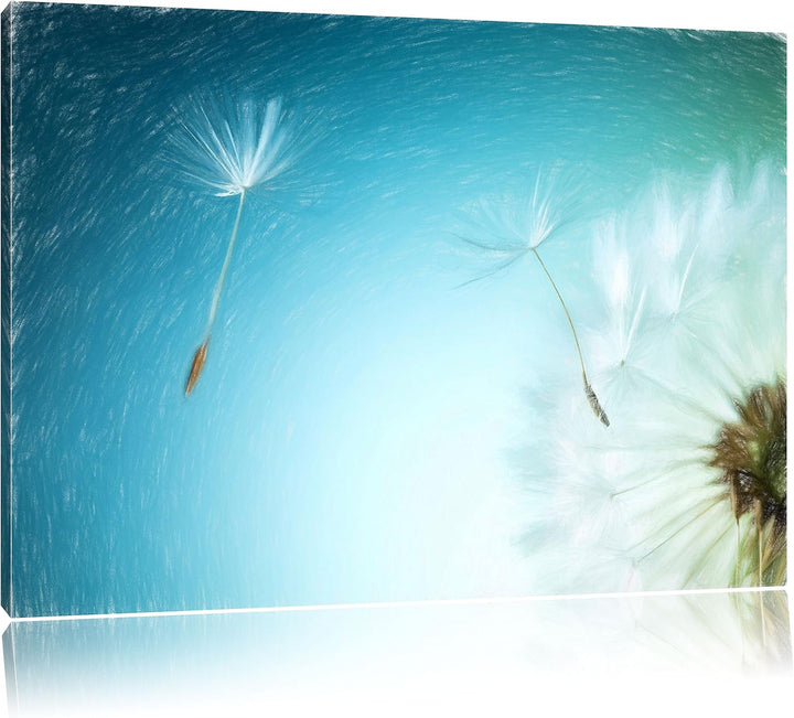 Pixxprint Löwenzahn Pusteblume als Leinwandbild/Grösse: 100x70 cm/Wandbild/Kunstdruck/fertig bespann