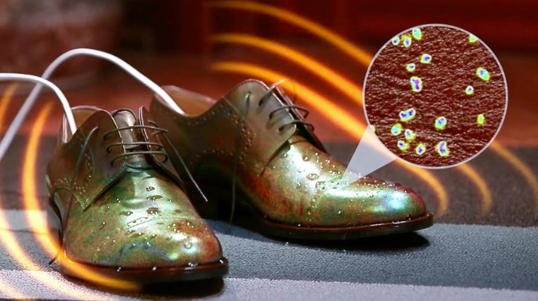 Timson UV-LiteDry Basic - Elektrischer Schuhtrockner mit UV-Licht