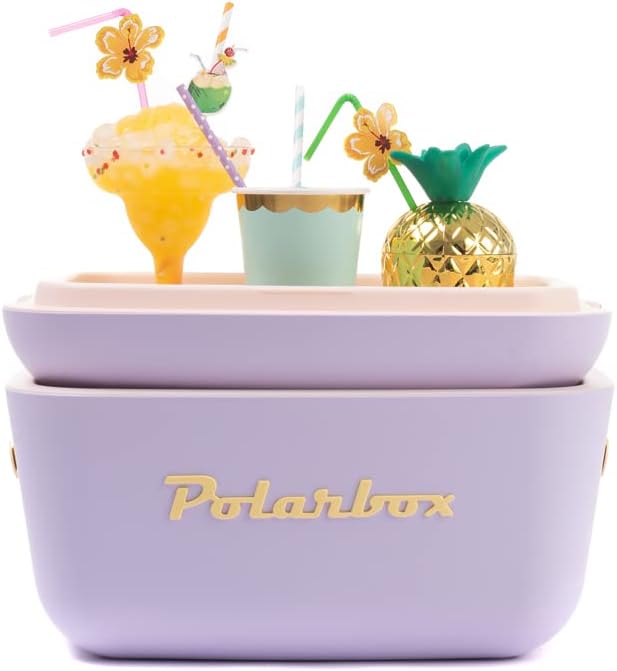 Kühlbox | Passive Kühlbox | Kühltaschen Polar in Retro Vintage Design aus Kunststoff mit polystyrol