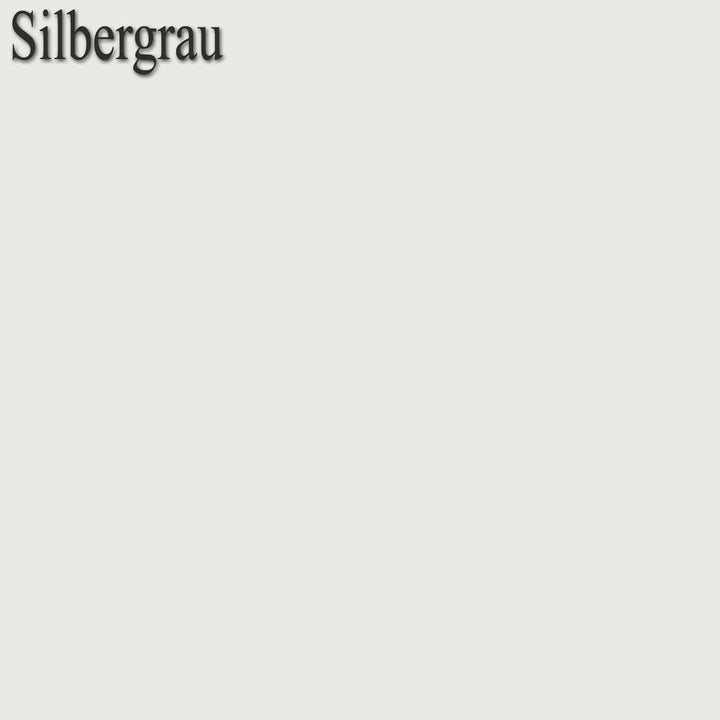 PCI 3000/4 Nanofug Fugenmörtel, Silbergrau