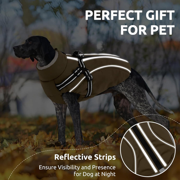 Hundemantel Hundejacke Warm Wintermantel mit Reissverschluss Winddichte & Winddichte mit Reflektorst