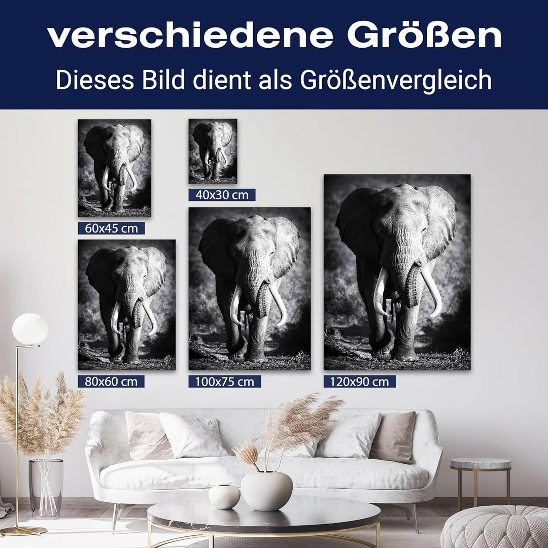 wandmotiv24 Leinwandbild Tiere 120x90cm, Hochformat, Elefant, Deko, Bilder auf Leinwand, Wanddeko, X