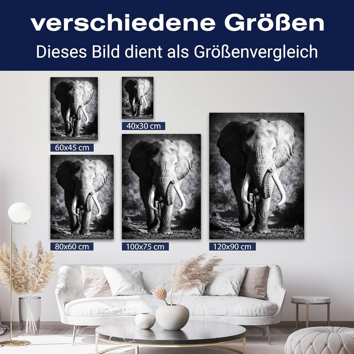 wandmotiv24 Leinwandbild Tiere 100x75cm, Hochformat, Elefant, Deko, Bilder auf Leinwand, Wanddeko, X