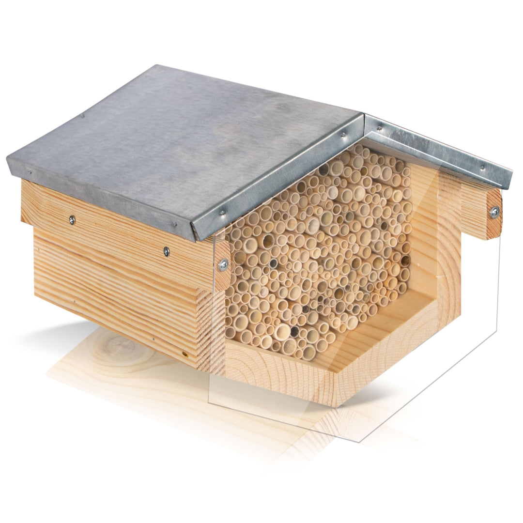 Beesi Wildbienenhotel mit Vogelschutz I Dach wetterfest I Nisthülsen aus Bambus I hochwertiges Insek