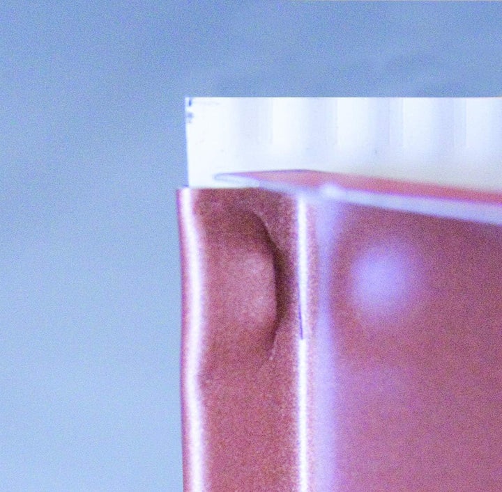 INTERCLIPS ZINC - Sickenzange für Dachrinnen aus Zink und Aluminium