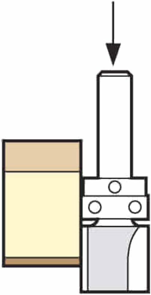 Trend Profiler 19,1mm Durchmesser x 50mm Schnitt, nur zum Fälzen und Besäumen von Kanten, C166X12MMT