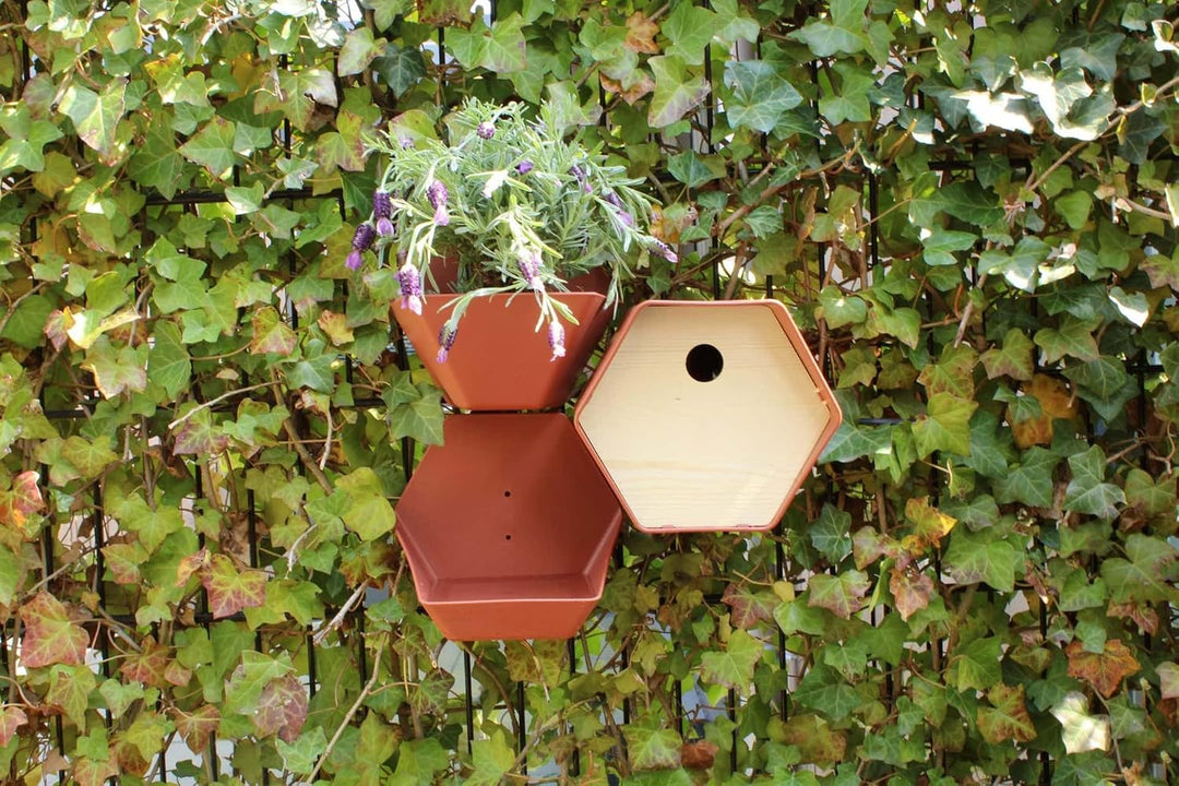 Capi Europe - Vogelhaus oval Hive - 19x23x20 - Braun - CAPI Biodiversity Hive - AHBIB002 Braun Hive
